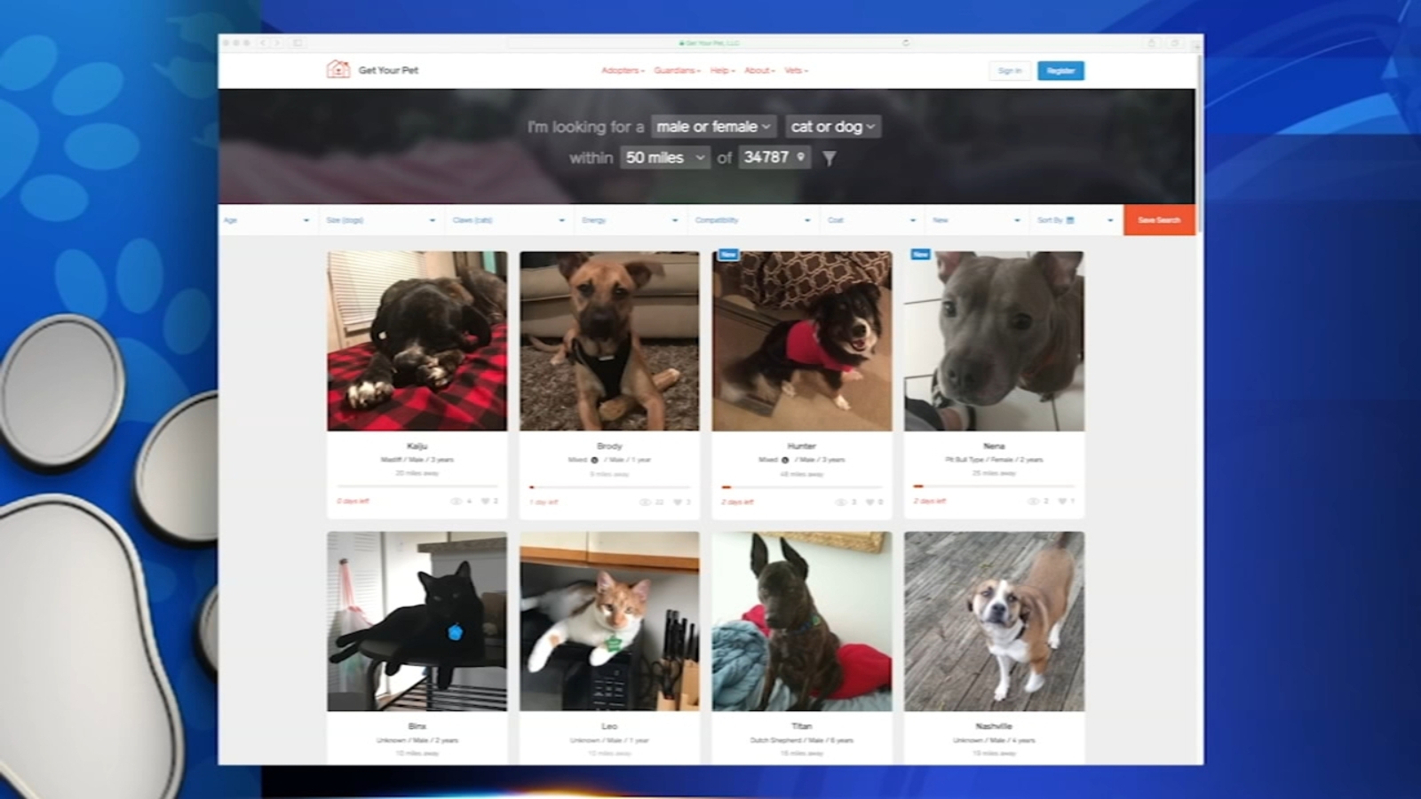 Shelter Me 6abc Philadelphia