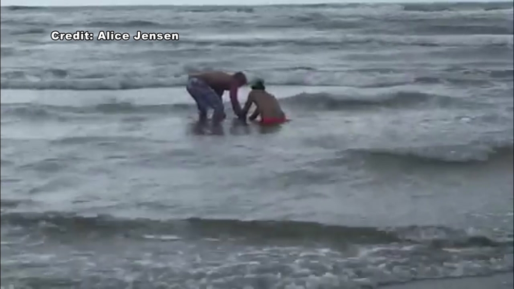 Beachgoers catch large shark in Galveston
