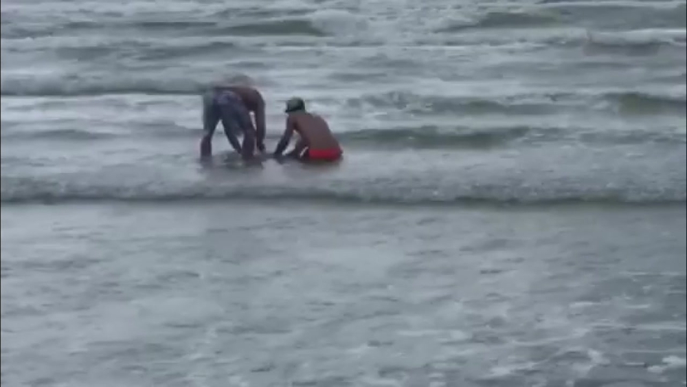 2 men catch and release huge shark in Galveston