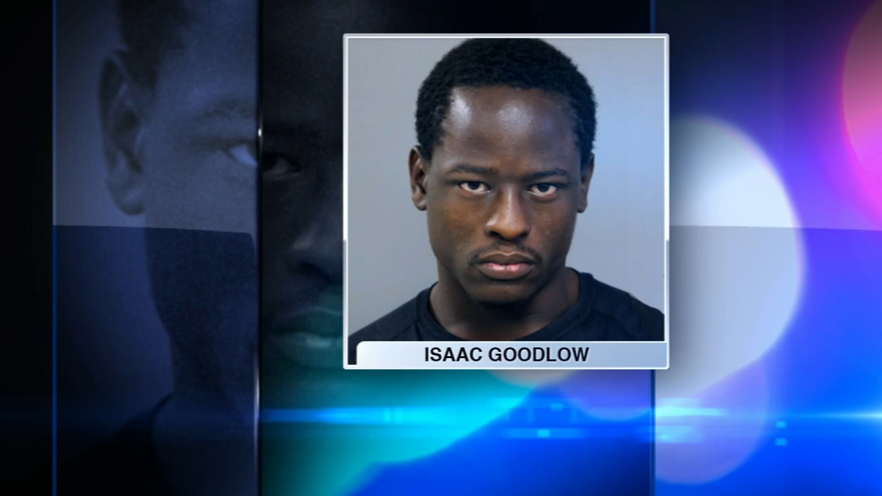 Arlington Heights man accused of whipping, choking pit bull