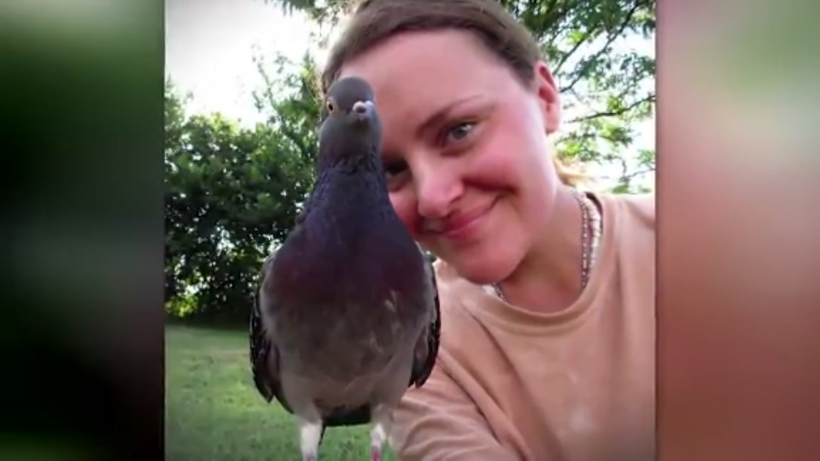 Autistic woman reunited with her therapy pigeon ABC13 Houston