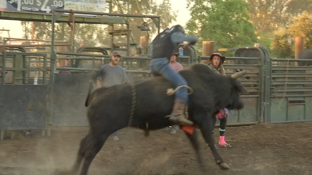 Good Sports: Underground Rodeo