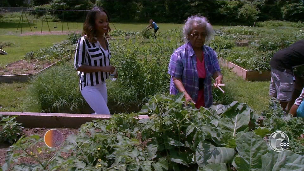 FYI Philly: A visit to historic Bartram's Garden in Southwest Philadelphia 