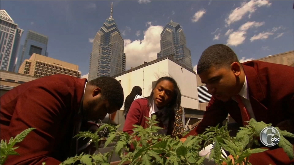 FYI Philly: Up on the roof at Sofitel's rooftop garden 