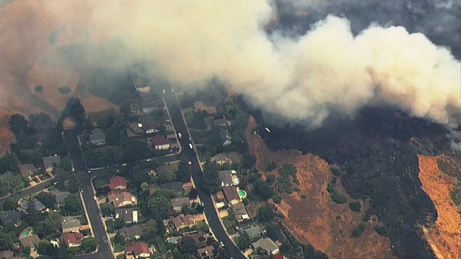 Moraga fire forces evacuations, burns dozens of acres as fire season