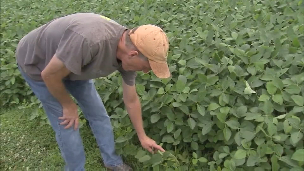 Local farmers concerned over new tariffs on American goods