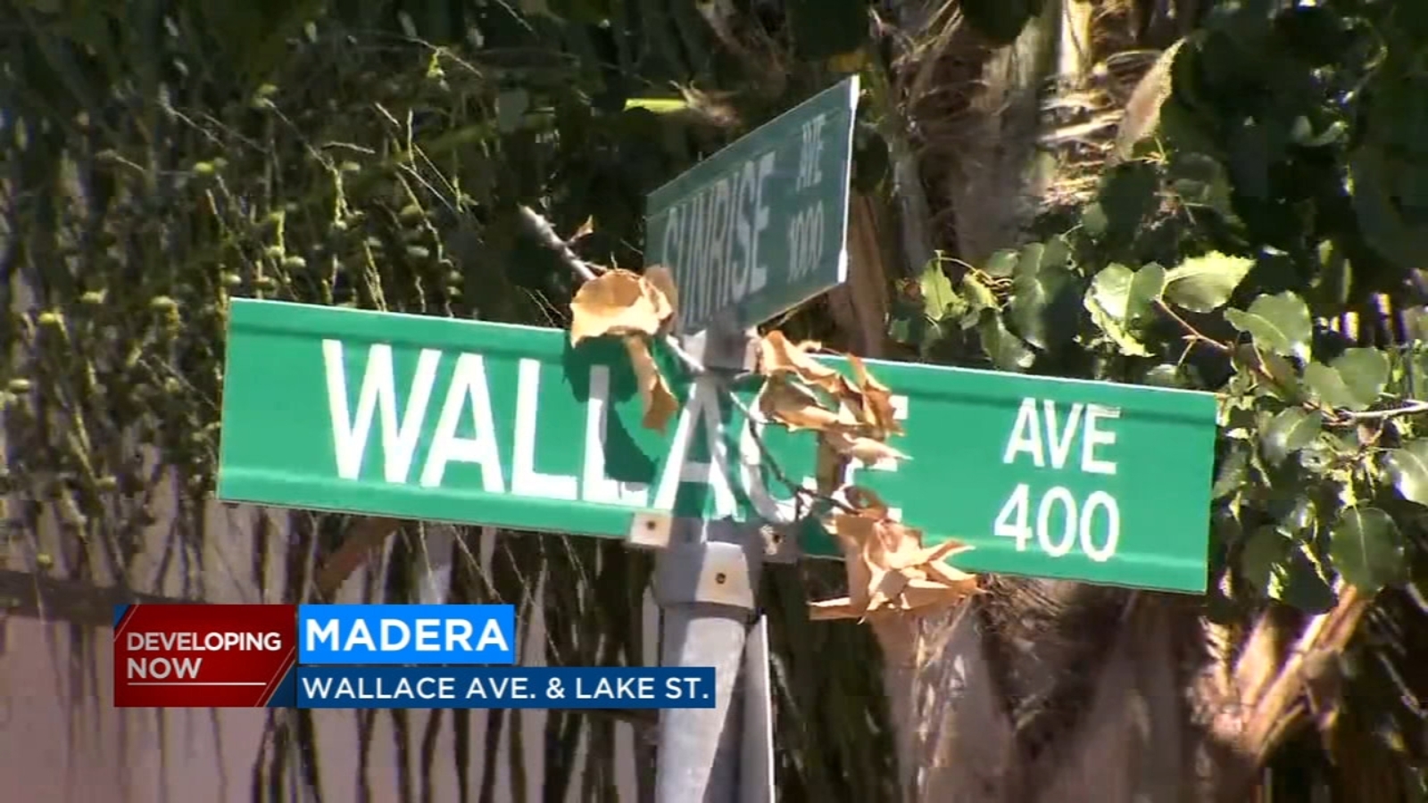 Madera Police searching for suspect after man found dead in his car ...