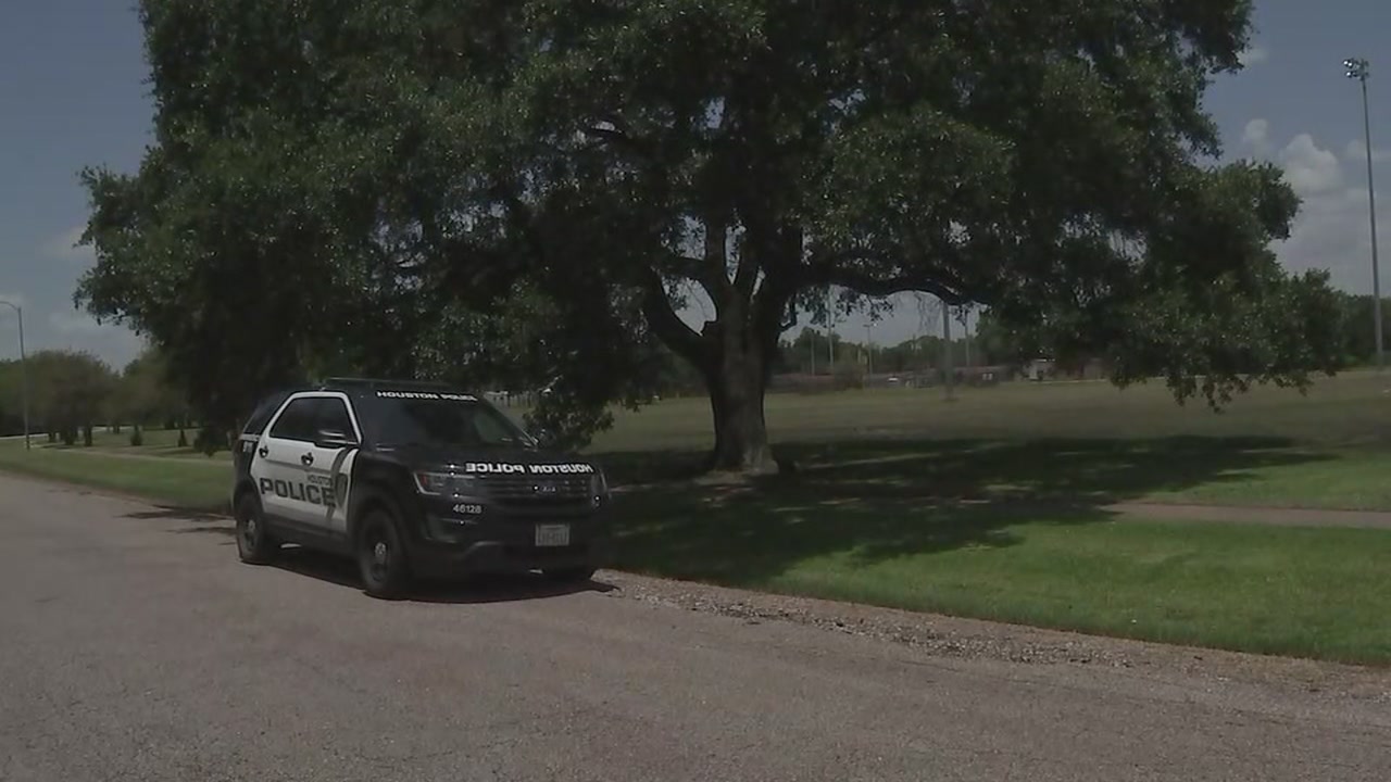 Pregnant woman stabbed with machete at Grimes Park