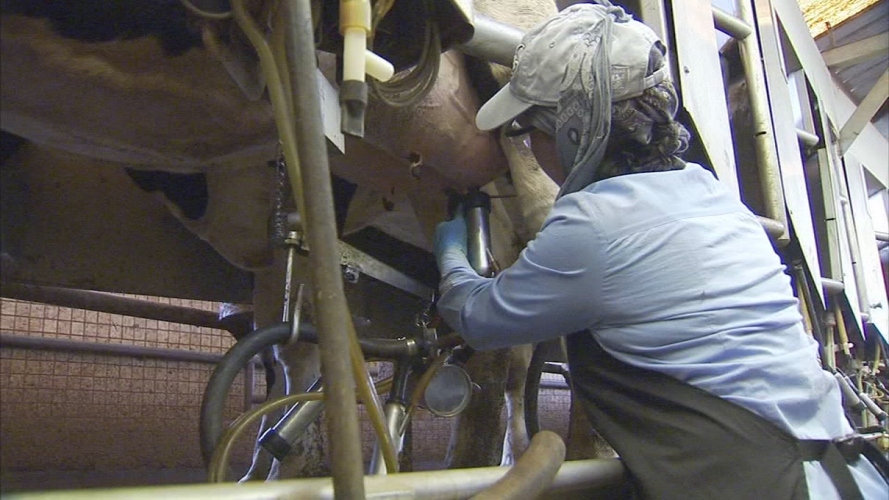 Despite record setting year for almond crop, Valley growers faced with uncertainty