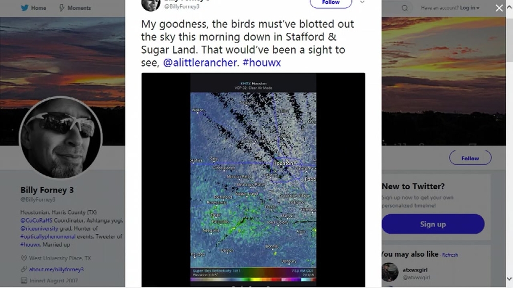 Sparrows take flight near Sugar Land causing fascinating radar image