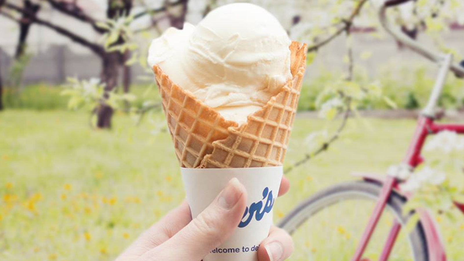 Cool off at some of Houston's best ice cream shops ABC13 Houston