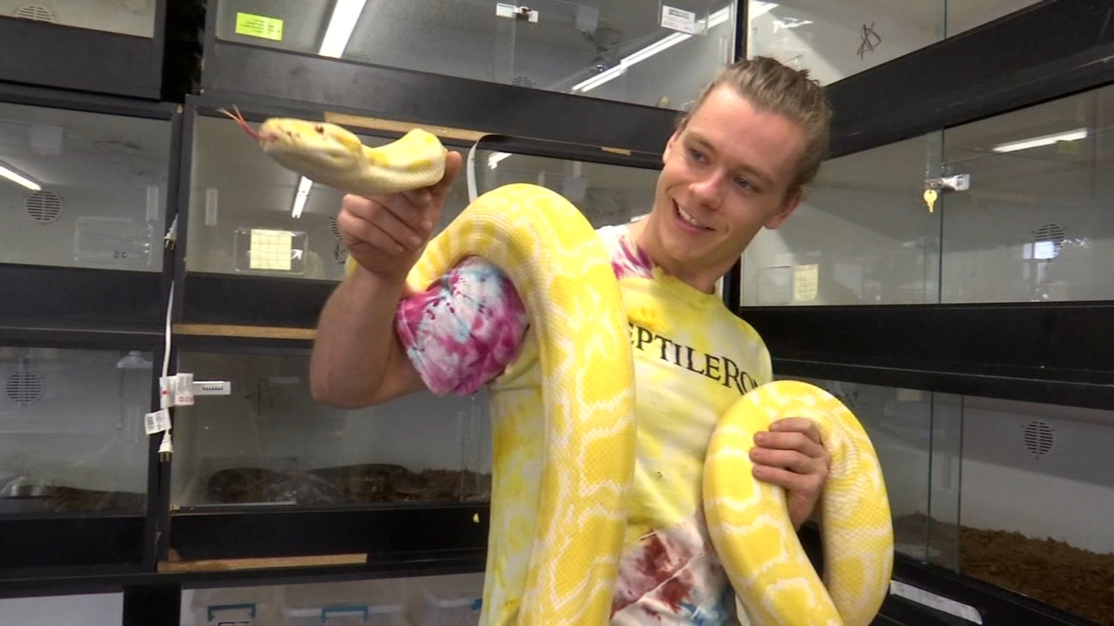 Reptile Ron Animal Presentations opening a storefront ABC30 Fresno