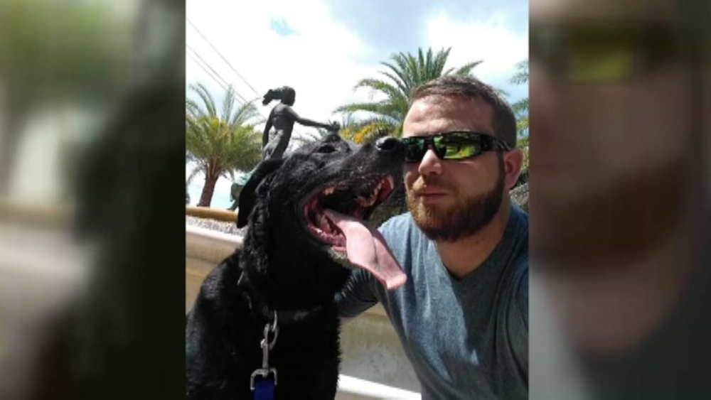 Dog dies from saltwater poisoning at beach