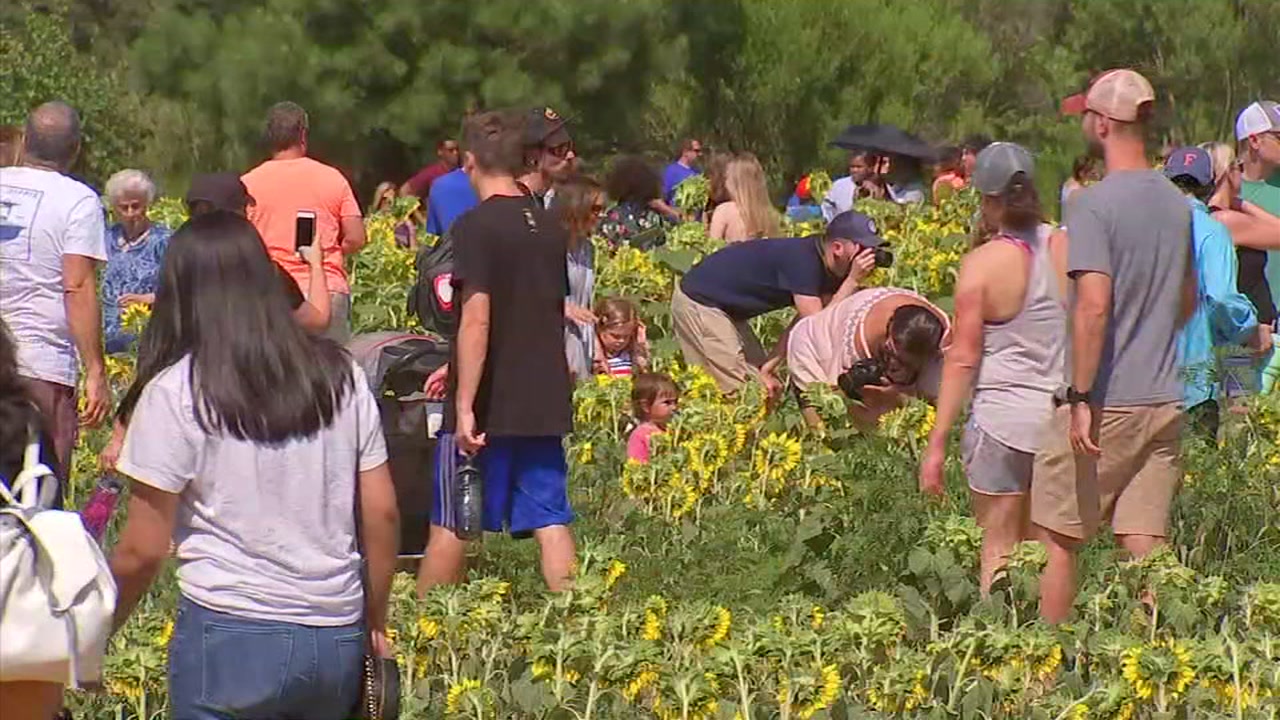 SunFest draws large crowds to Dorothea Dix Park