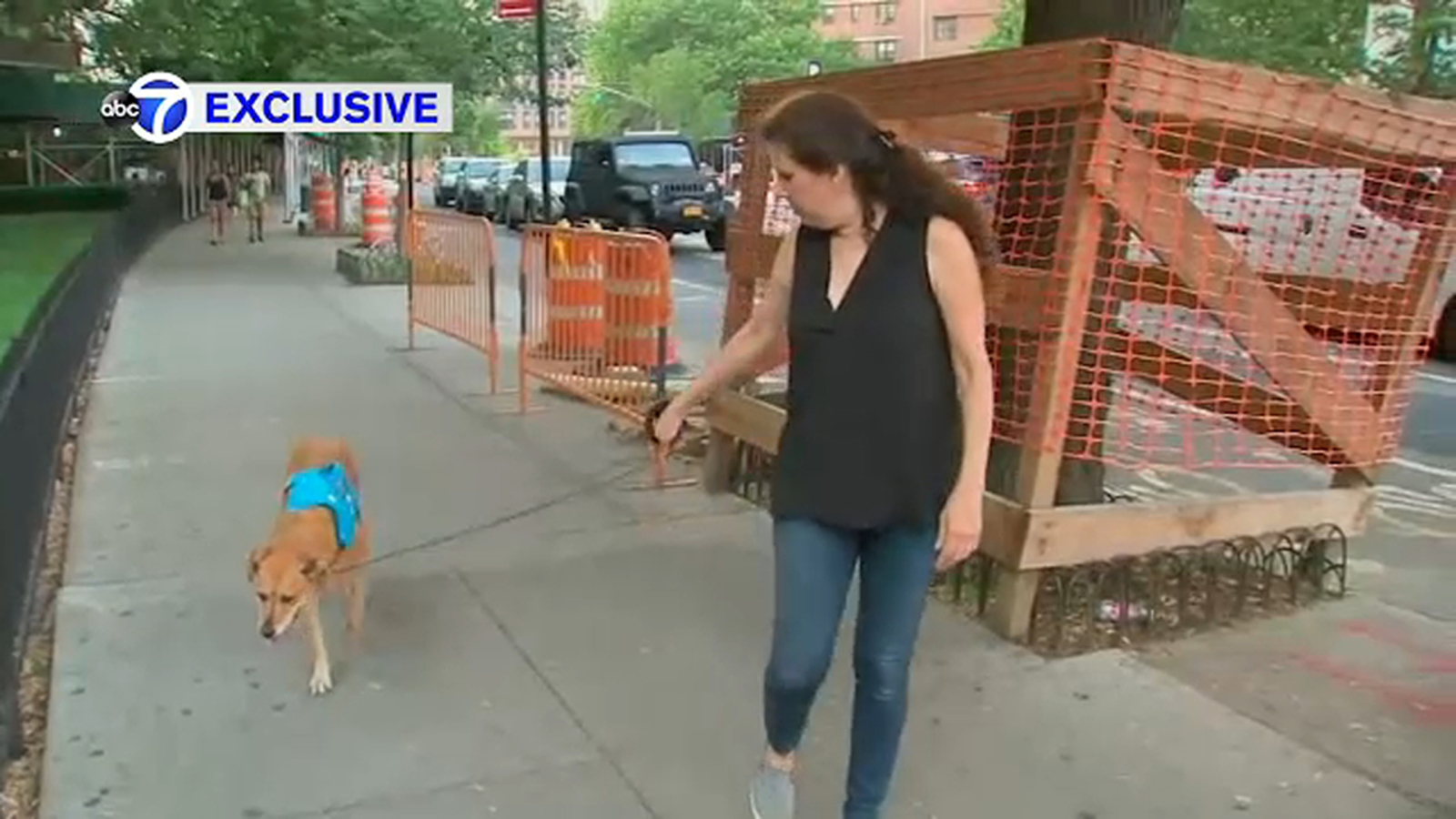 Exclusive Woman recounts attack by unleashed dog on Lower East Side of