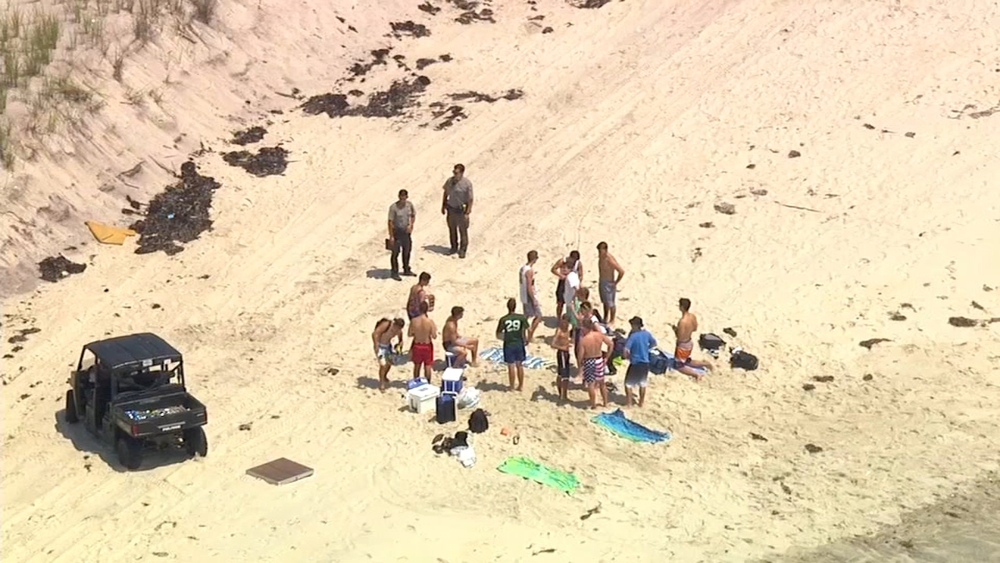 2 people bitten off Fire Island