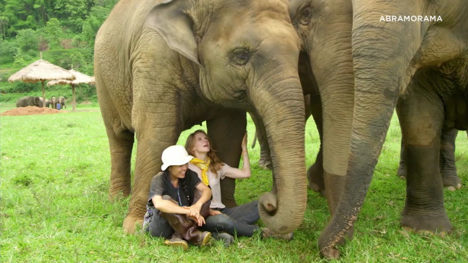 Ashley Bell's documentary 'Love & Bananas' reveals the struggle of