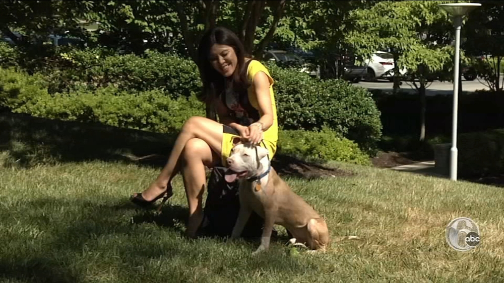 Shelter Me visits Women's Humane Society | FYI Philly