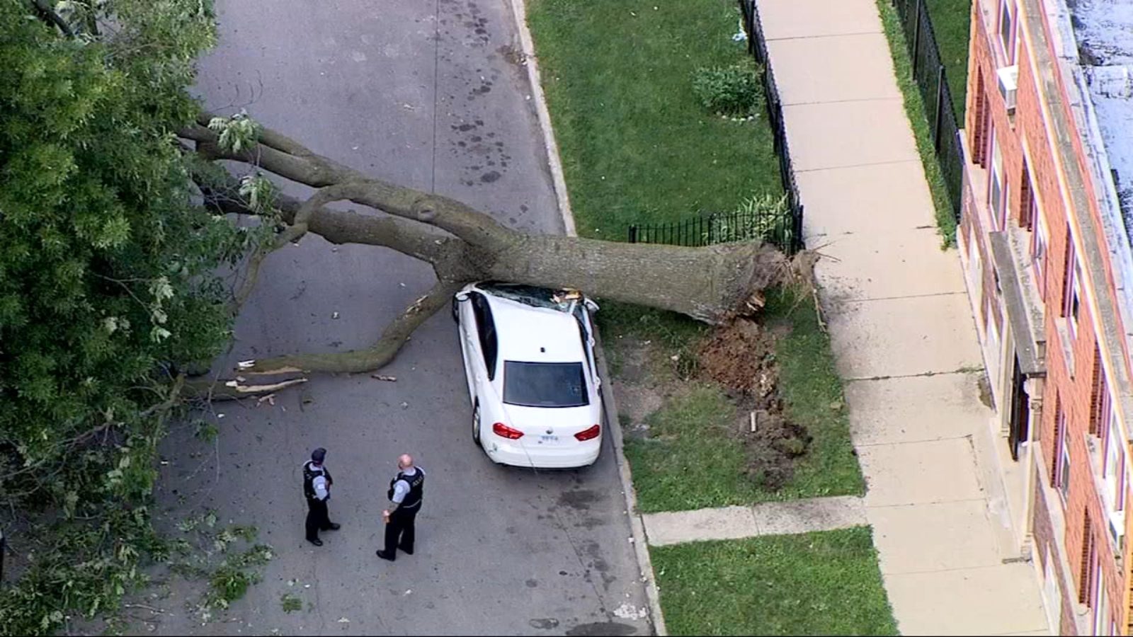 Tree falls on parked car near 66th, Laflin in Englewood ABC7 Chicago