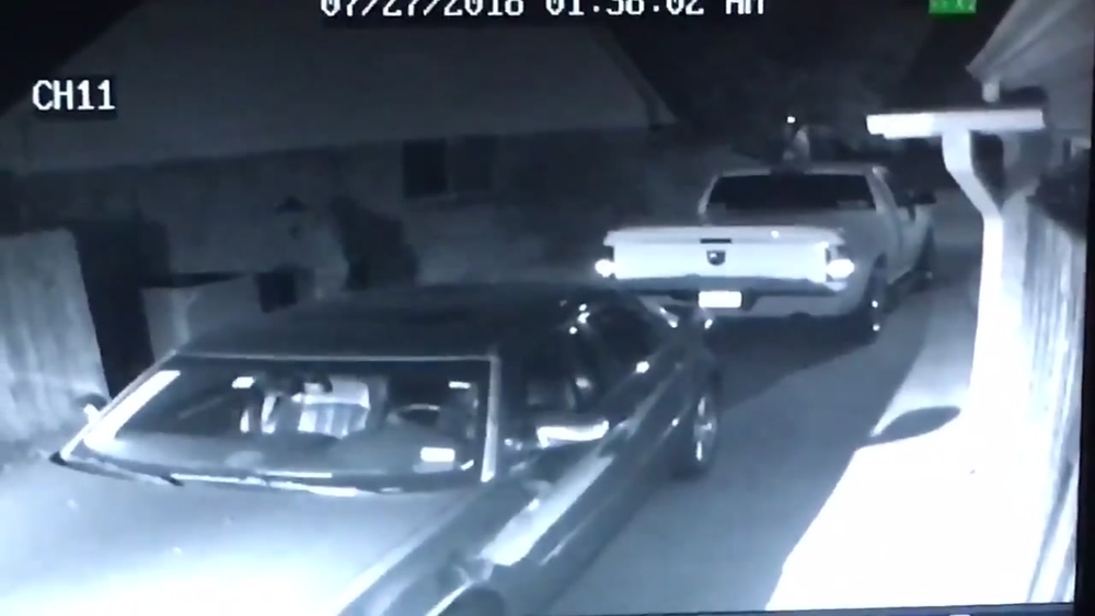 Burglary suspect caught on camera