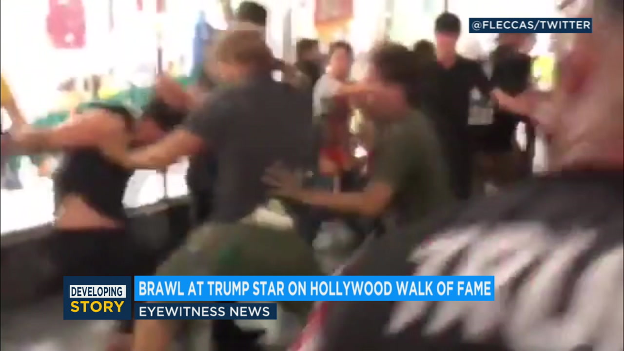 VIDEO: Fight erupts at Donald Trump star on Walk of Fame