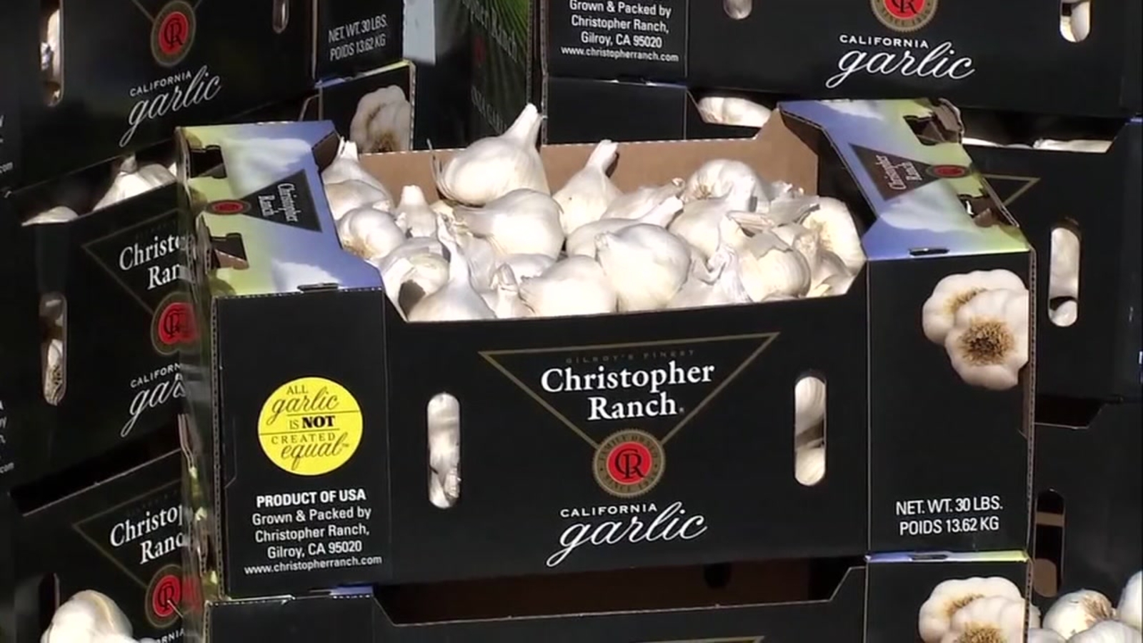 Where garlic breath reigns supreme The Gilroy Garlic Festival turns 40