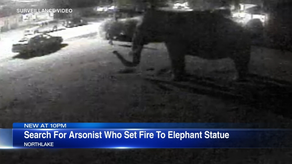 VIDEO: Arsonist sets fire to life-sized elephant statue in Northlake
