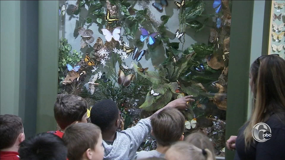 Kids are flocking to Insectropolis, Toms River's spooky fun bug museum | FYI Philly