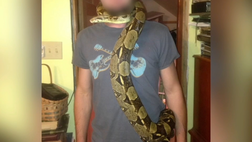 Missing boa constrictor causes concern among neighbors in Montgomery County