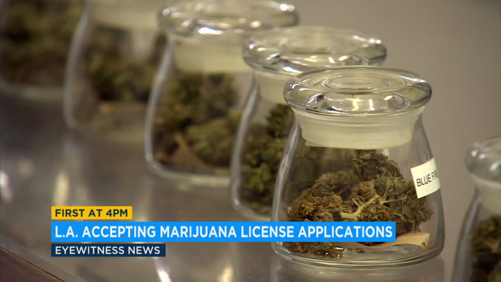 LA begins accepting license applications from marijuana growers