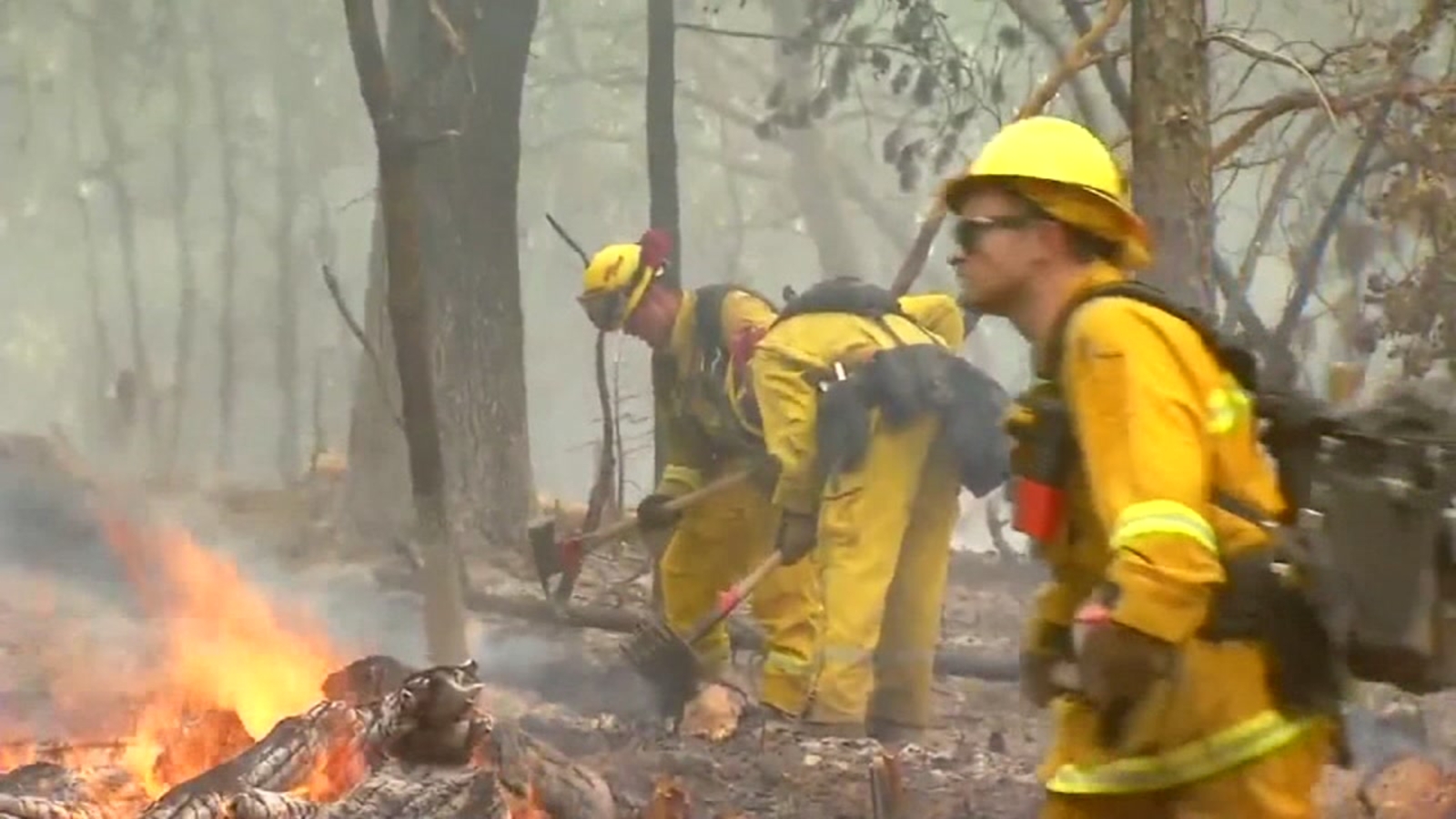 NC Forest Service firefighters help fight California wildfires ABC11