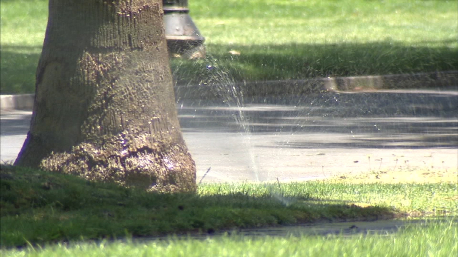 Fresno warning residents who are using too much water ABC30 Fresno