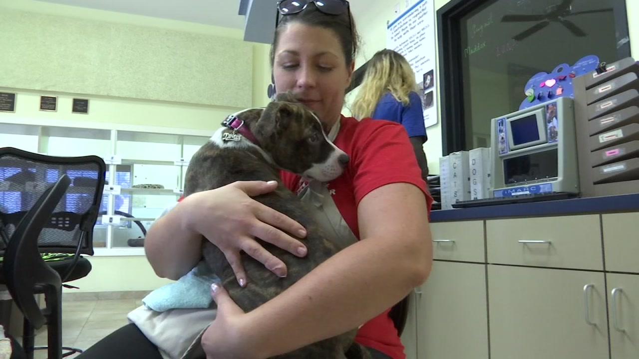 Galveston restaurant owner pays staff to volunteer