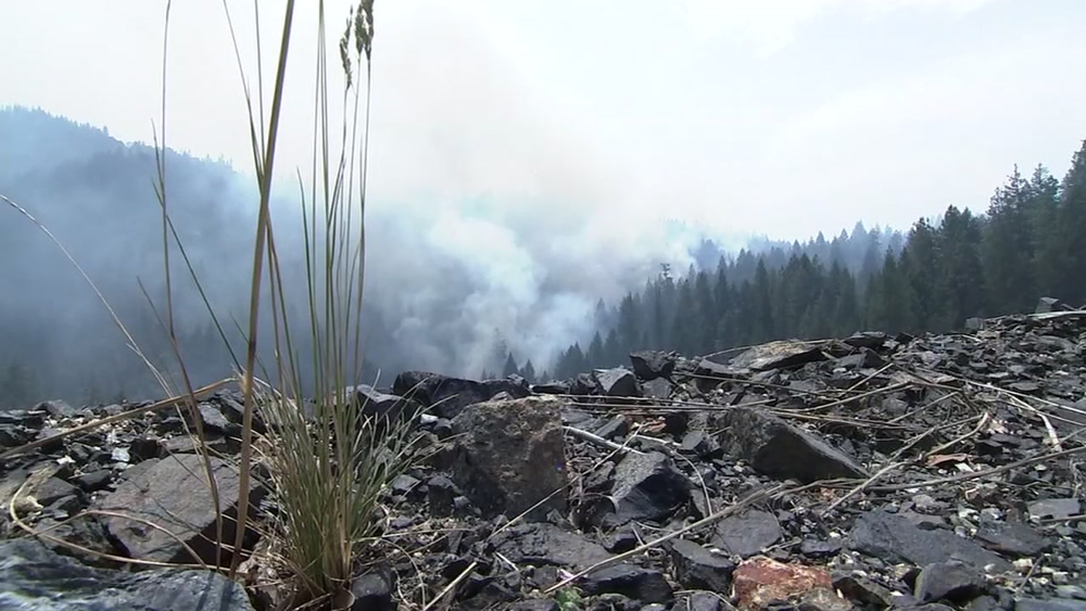 Firefighter assigned to Carr Fire in Shasta County killed in traffic accident