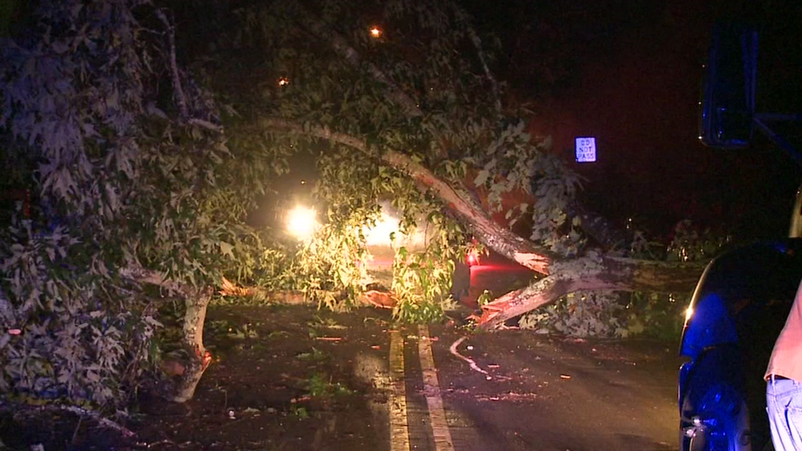Tree hits wrecker, causes mess on Cornwallis Road - ABC11 Raleigh-Durham