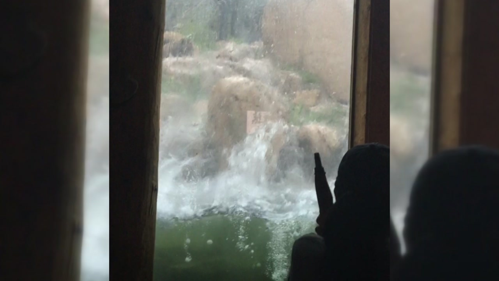 Cheyenne Mountain Zoo birds die in Colorado Springs weather; hail storm