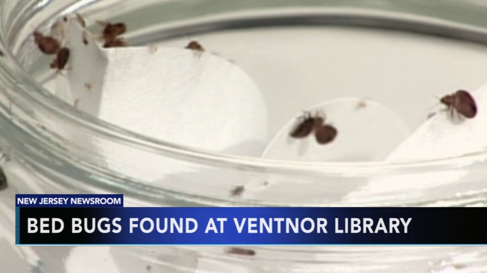 Bed bug infestation closes library and arts center in Ventnor - 6abc ...