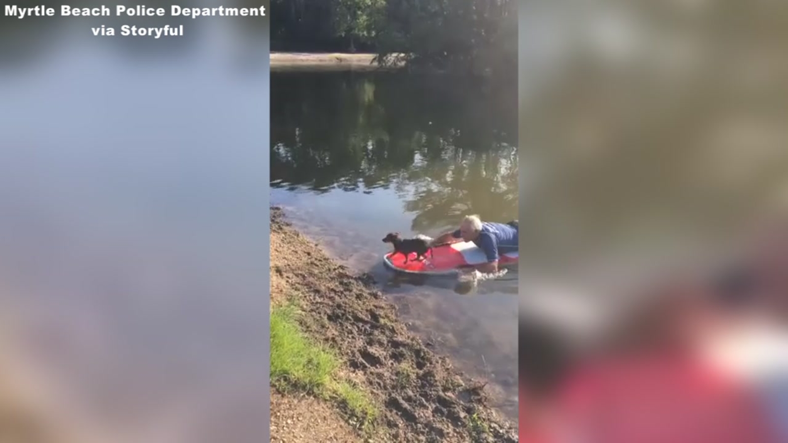 Myrtle Beach police rescue stranded pooch from pond - ABC11 Raleigh-Durham