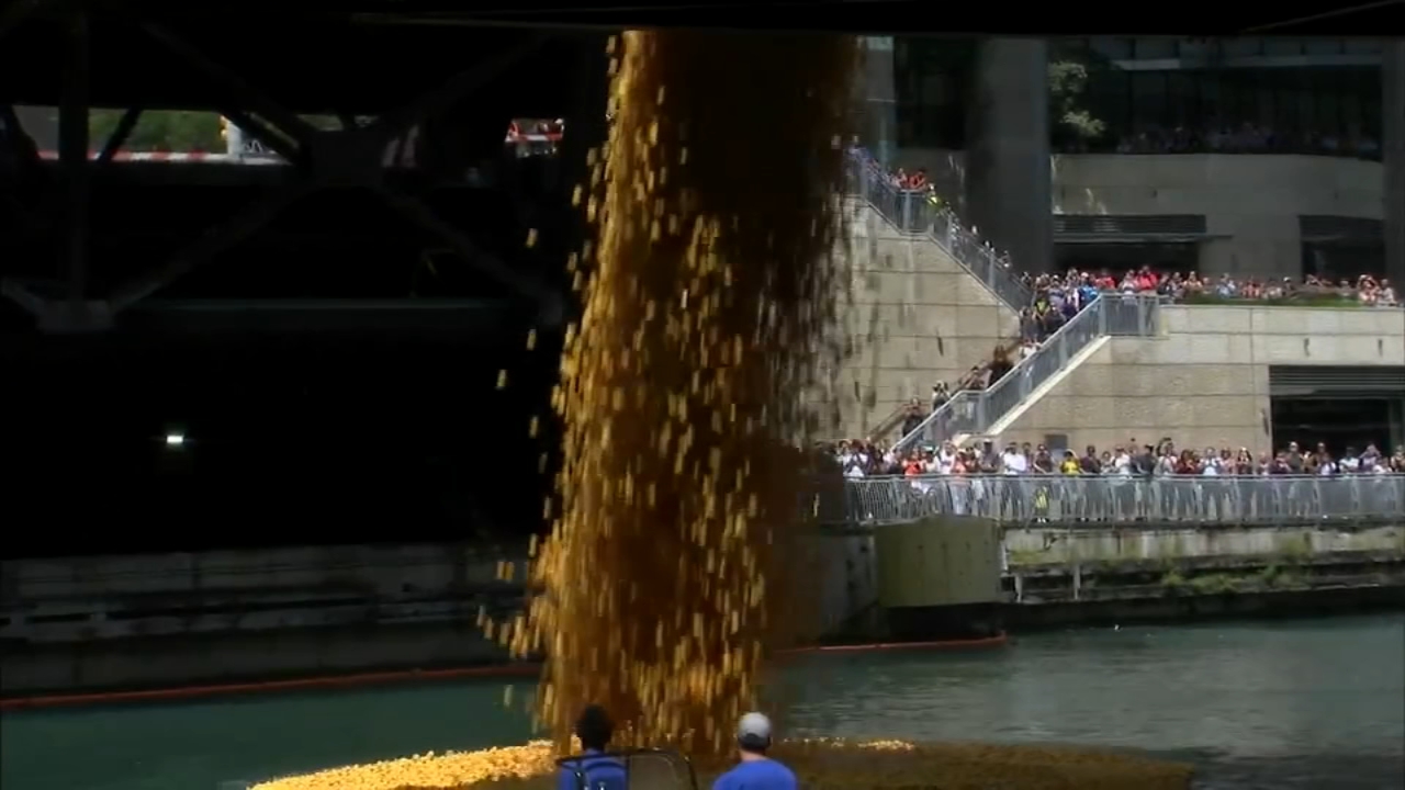 60,000 rubber ducks float down river in Chicago Ducky Derby