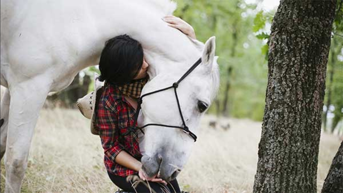 This woman's dying wish? To see her horse one last time ABC7 San
