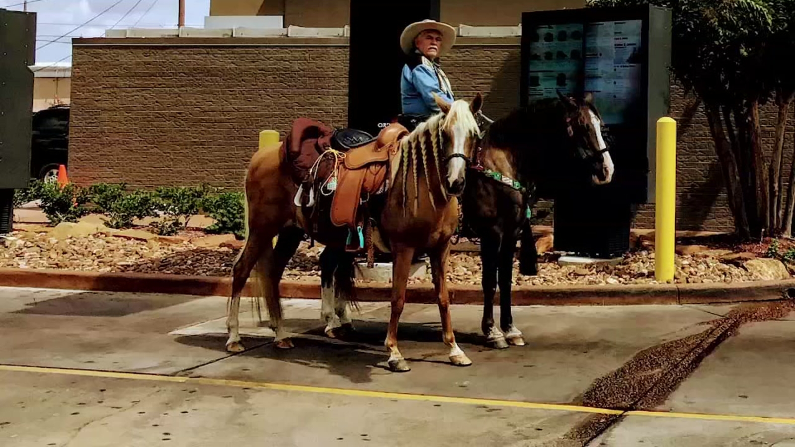 TAKING THE REINS Houston cowboy rides up to McDonald's drivethru with