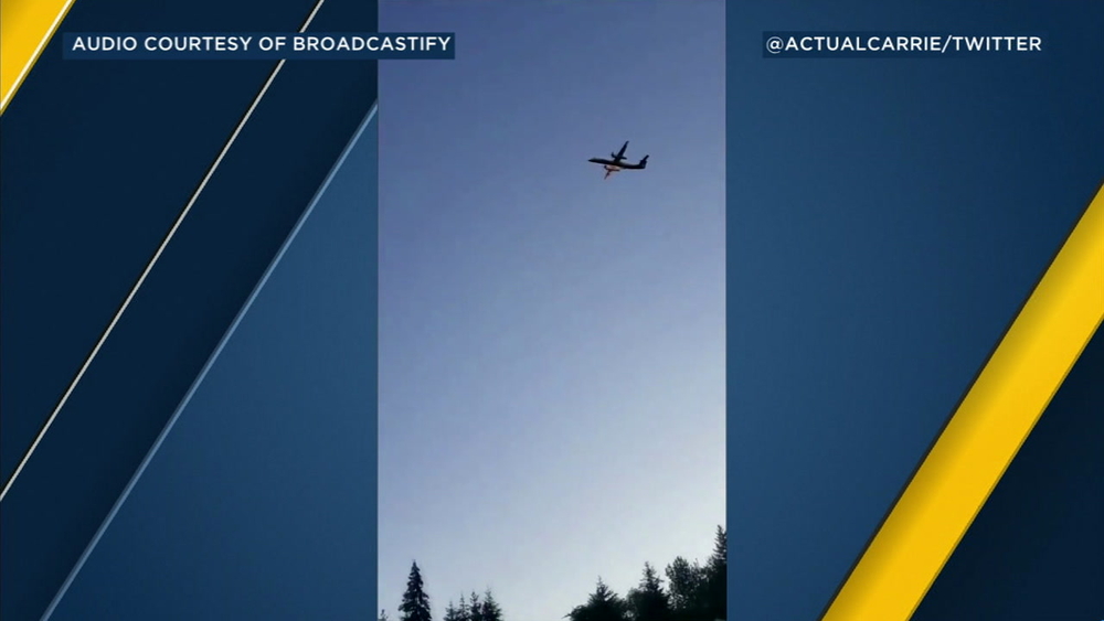 Seattle airport employee steals, crashes Horizon Airlines plane