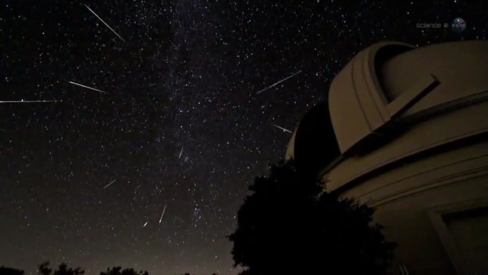 Hundreds gather to watch Perseid Meteor Shower at Chabot Space and