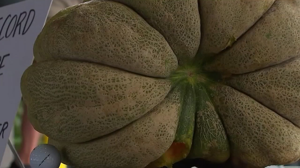 Nash County man grows world record cantaloupe