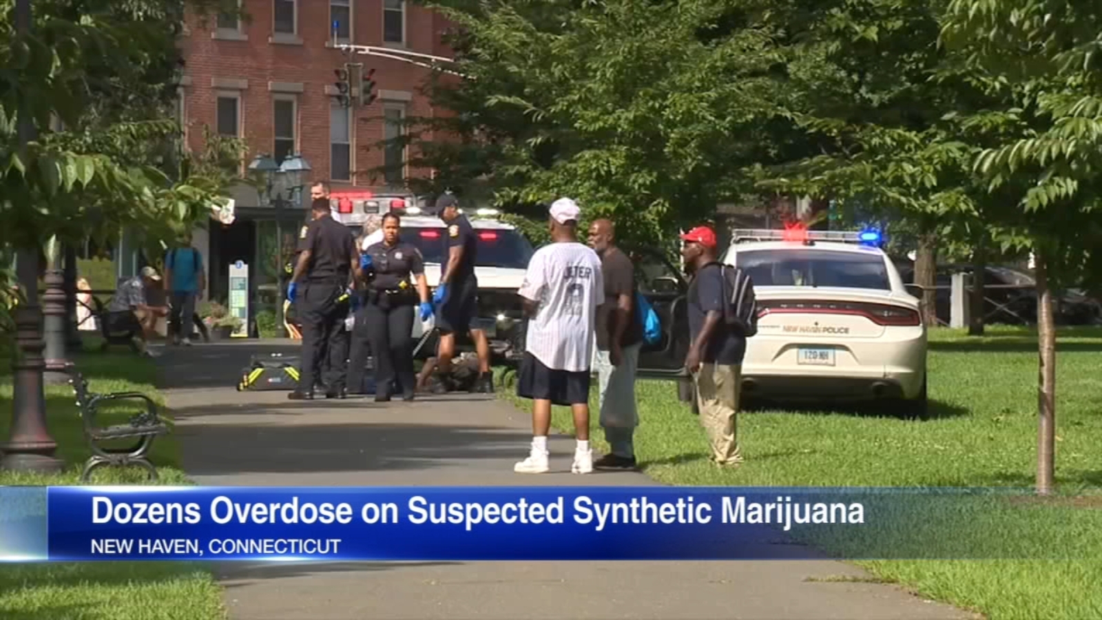 K2 mass overdose: Nearly 80 sickened at New Haven Green; man arrested ...