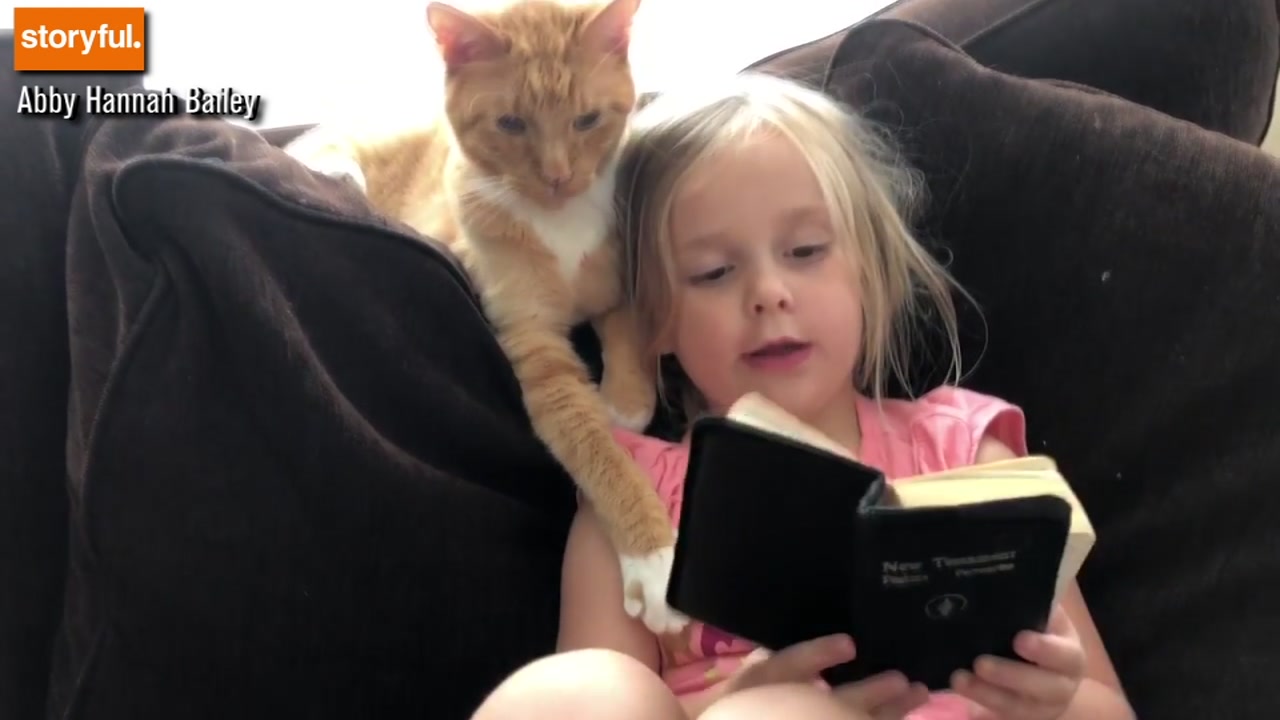 Too cute! Adorable girl reads her version of the bible to her cat