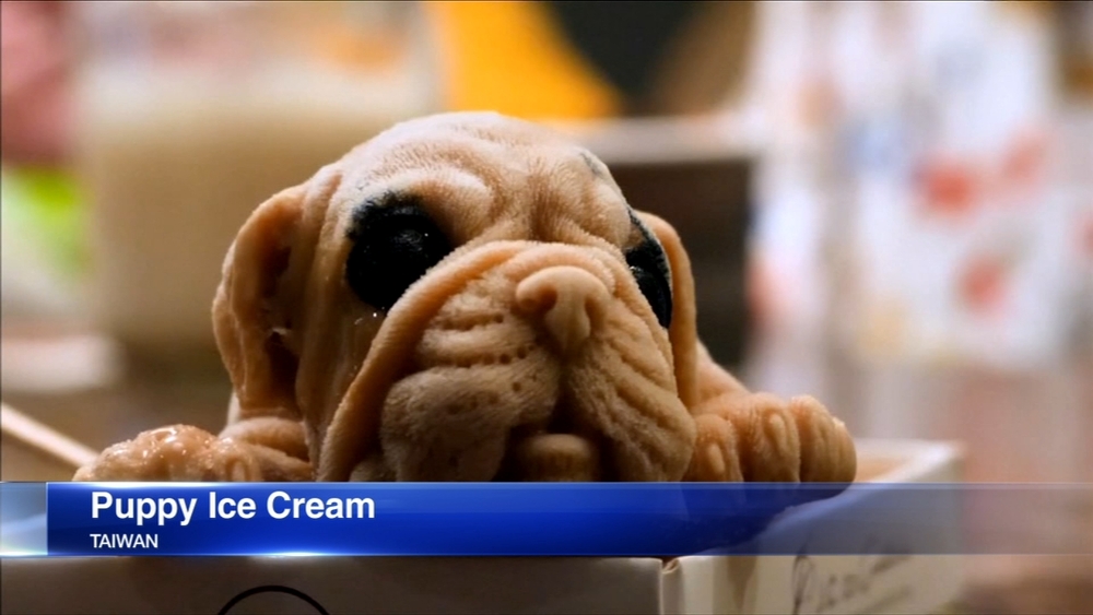 Taiwan restaurant serving up puppy ice cream