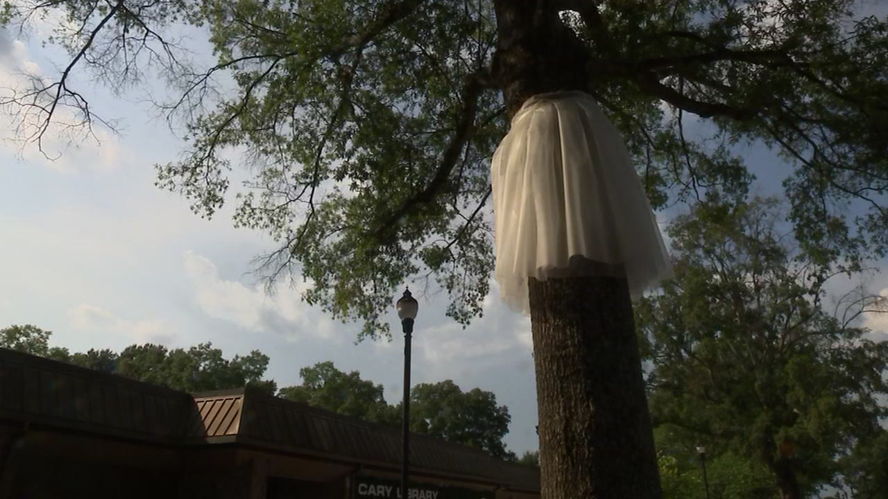 Trees are wearing tutus in Cary