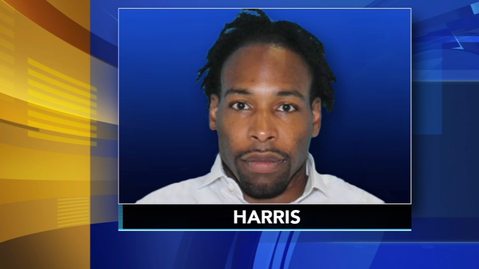 Suspect arrested for murder of model Christina Kraft in Ardmore, Pa