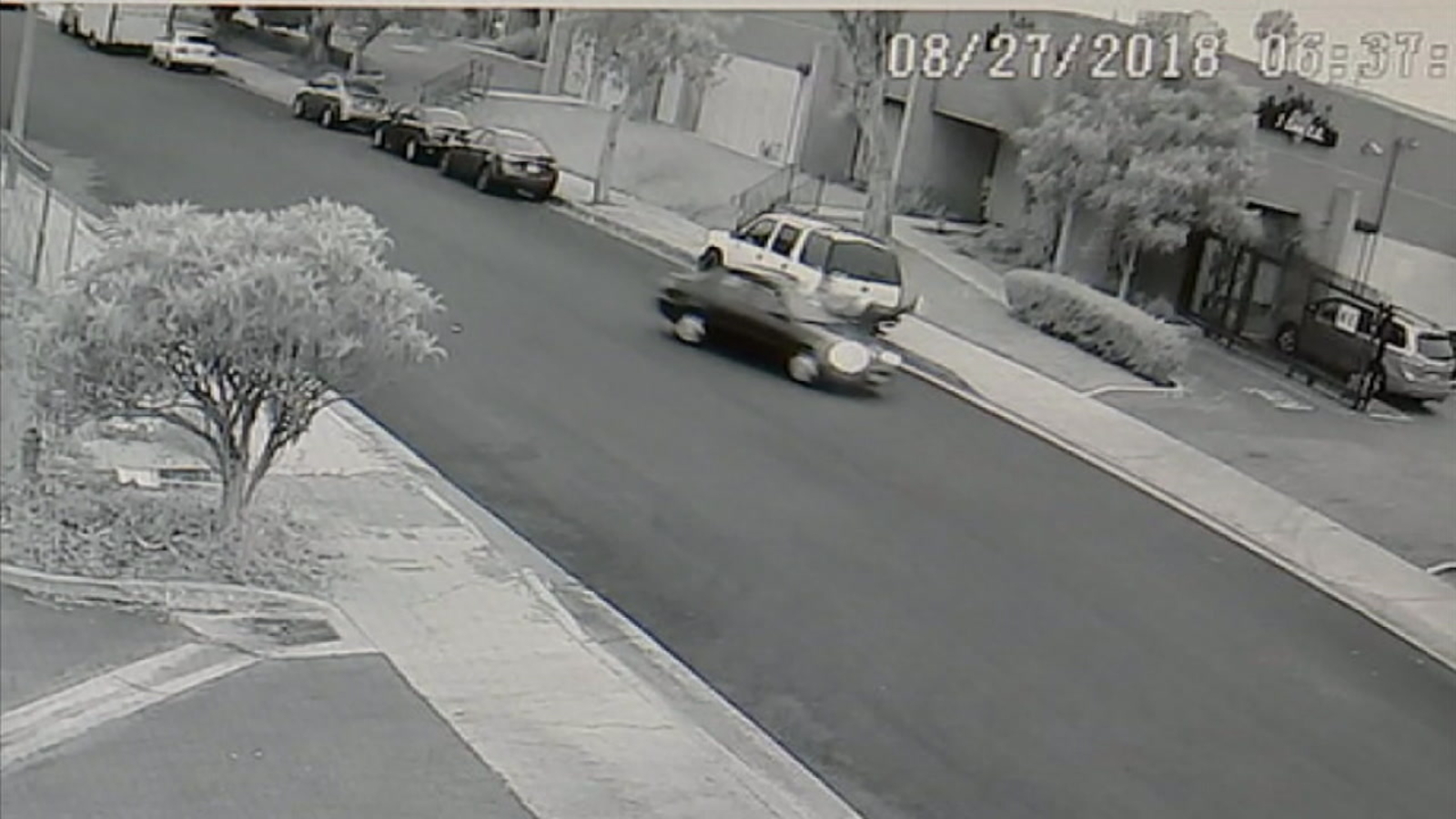 VIDEO Veteran struck by driver in Gardena after altercation over